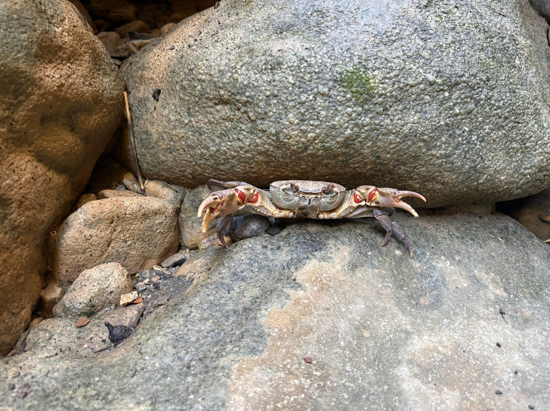 Sarakina Gorges-Mirtos必去景点