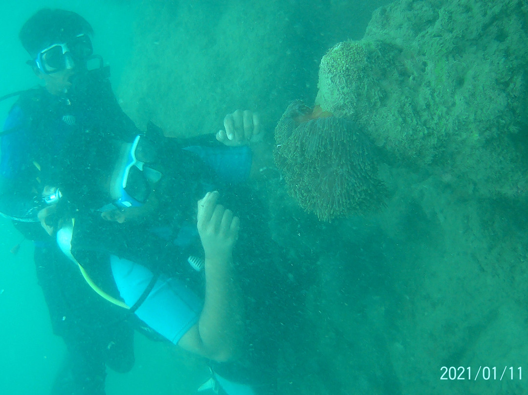 Andaman Shells-布莱尔港必去景点