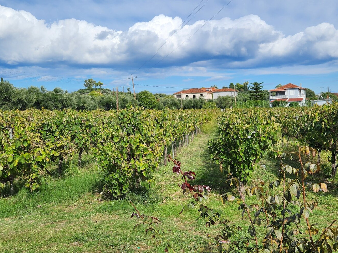 Grampsas Winery-Lagopodo必去景点
