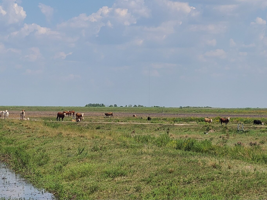 Jocelyn Nungaray National Wildlife Refuge-Anahuac必去景点