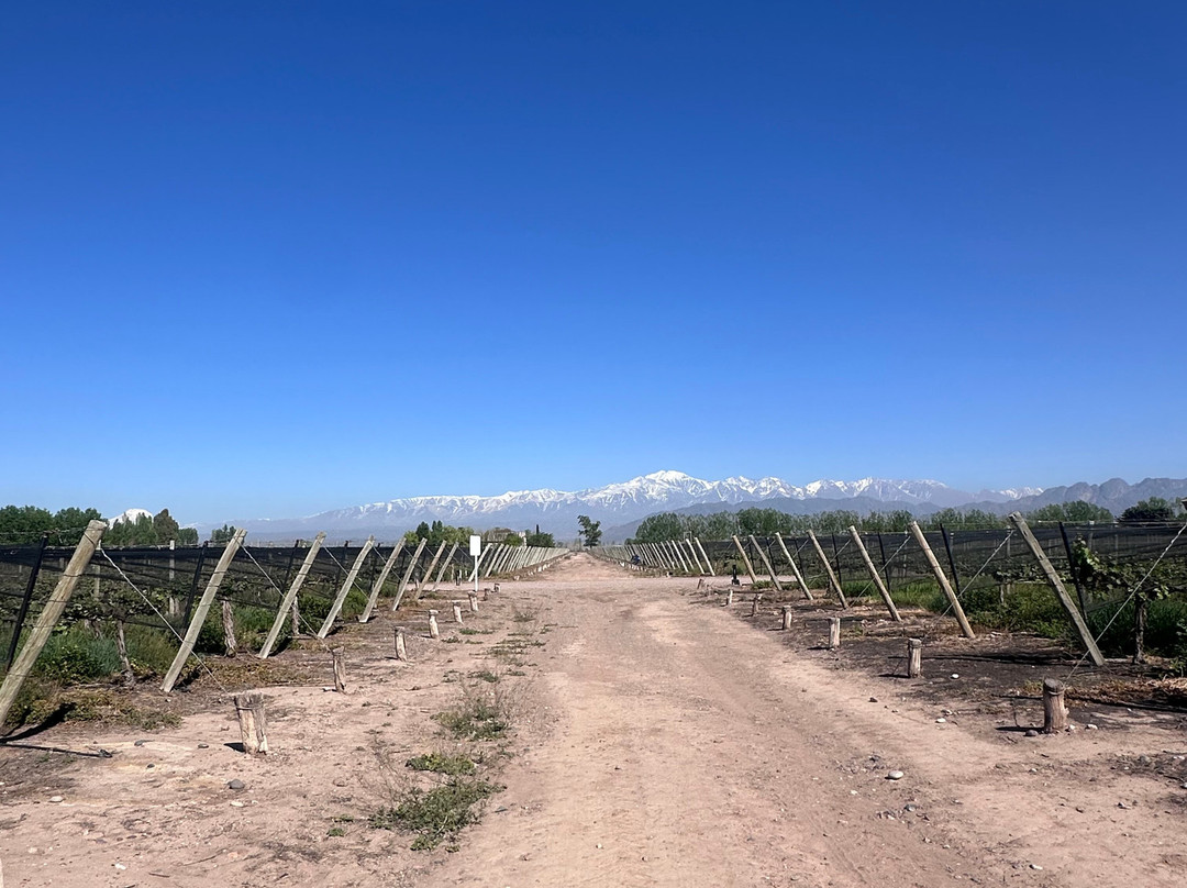 Bodega Septima-路冉得库约必去景点