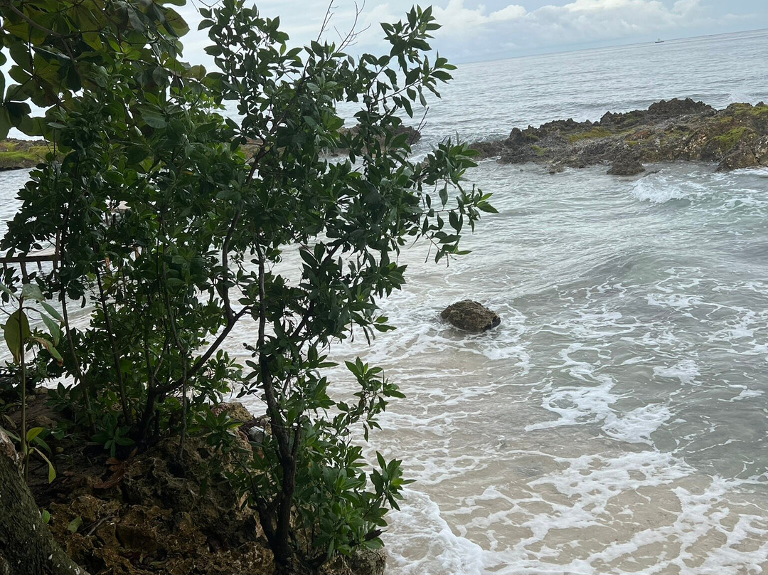 Booby Cay Island-内格里尔必去景点