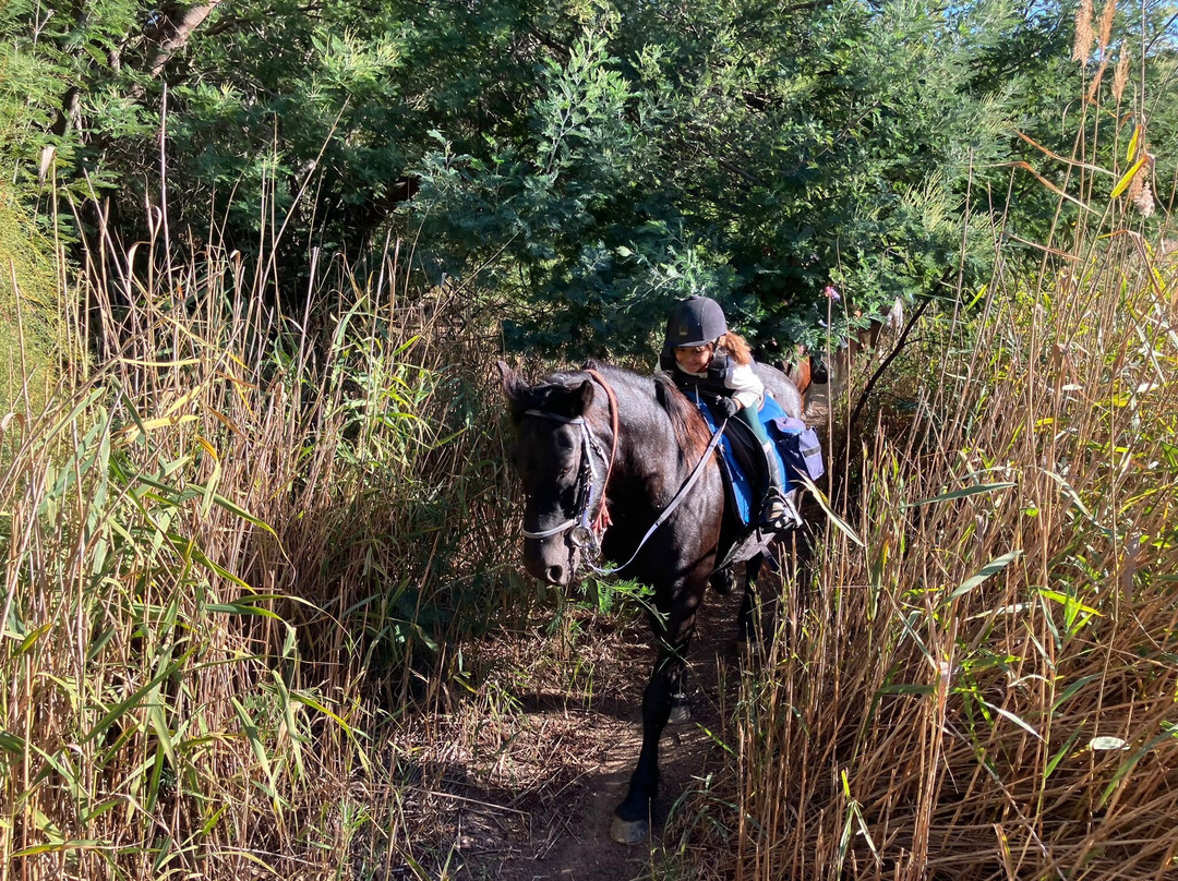 Aventure cheval. Randonnées à cheval-La Crau必去景点