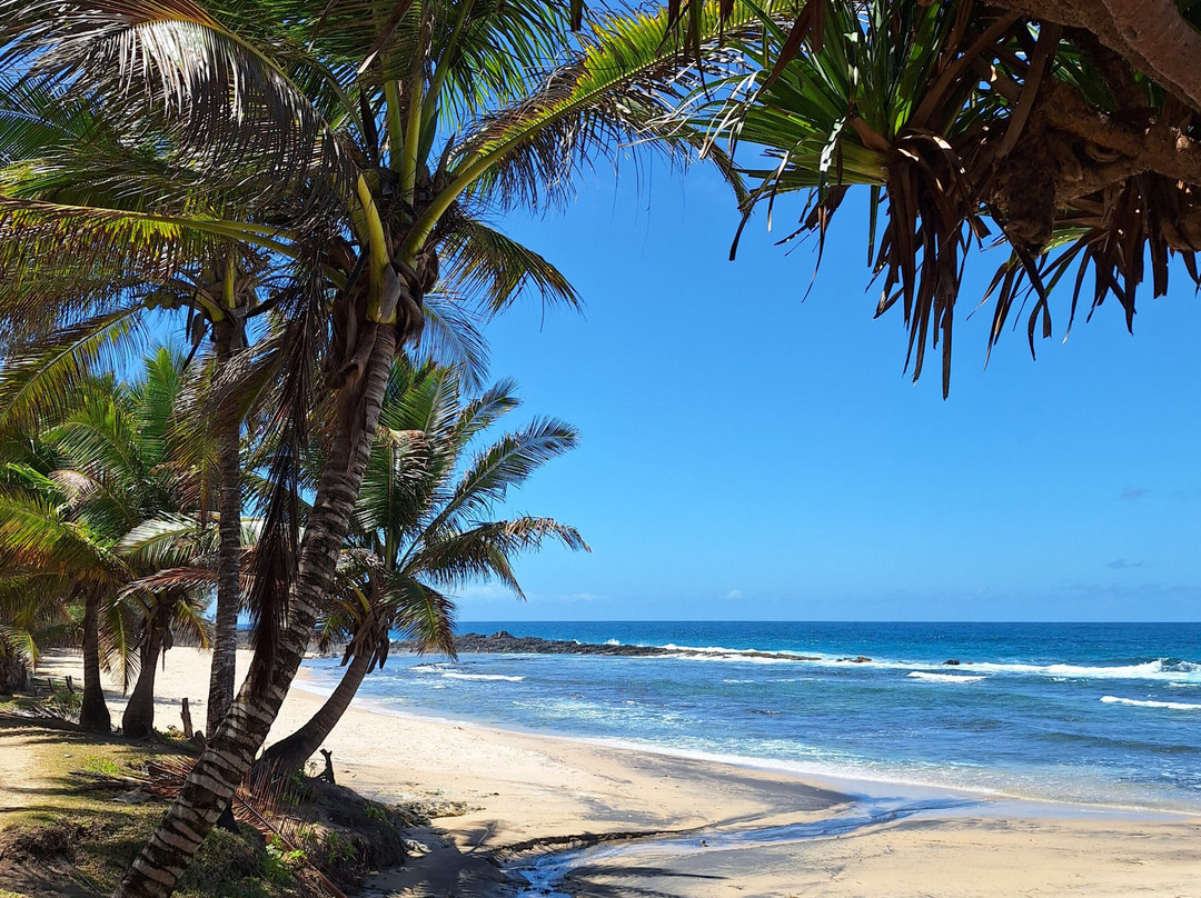 Piscine Naturelle d’Ambodiatafana-Nosy Boraha必去景点