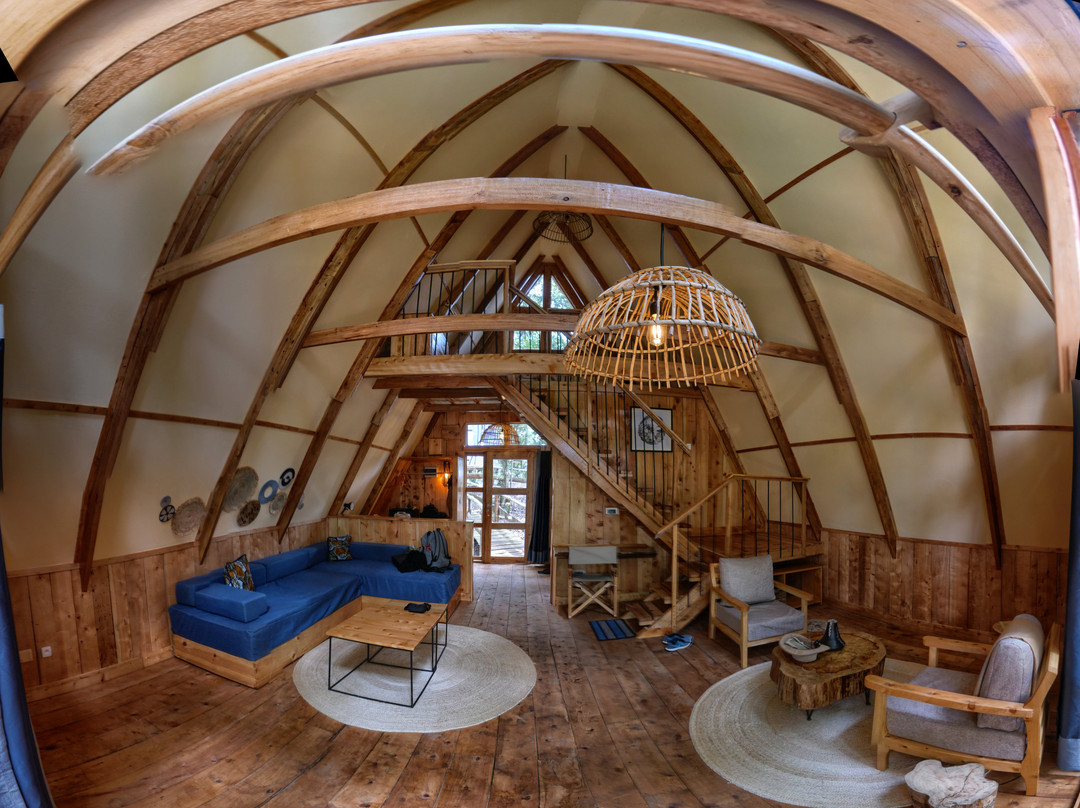 Nyungwe National Park - Rwanda-Western Province必去景点