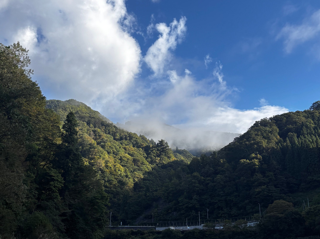 Mugenkyo no Watashi-金山町必去景点