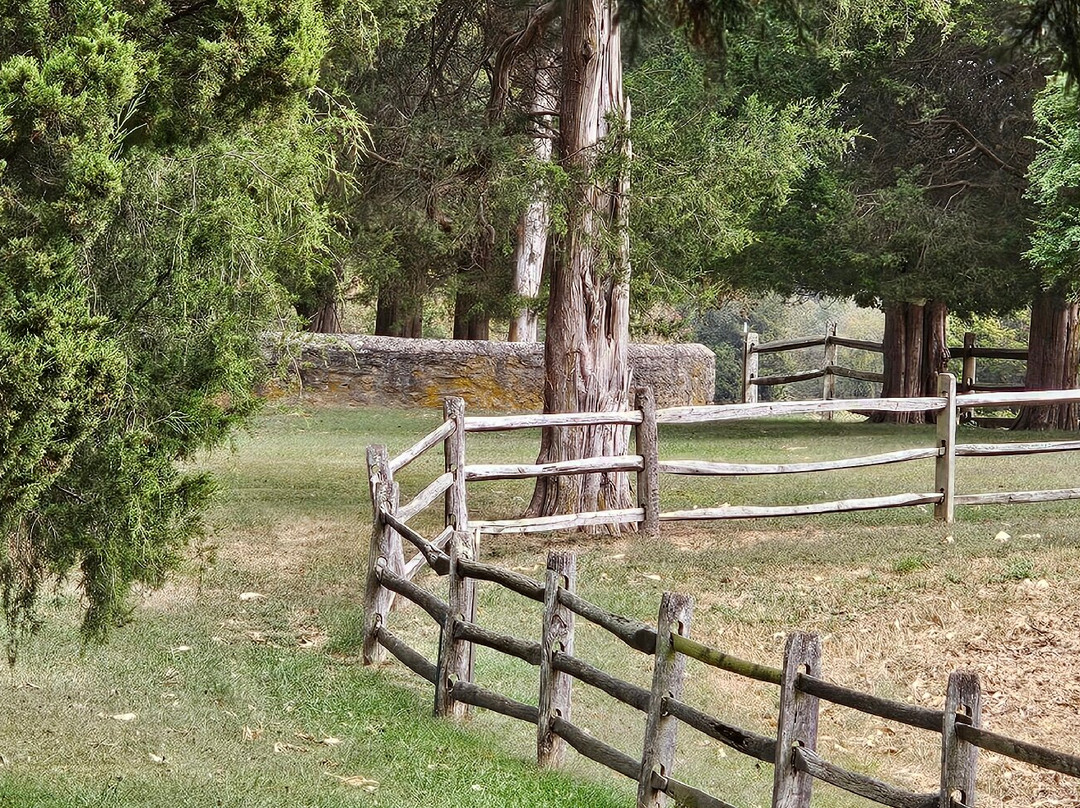 Cherry Grove-Woodbine必去景点