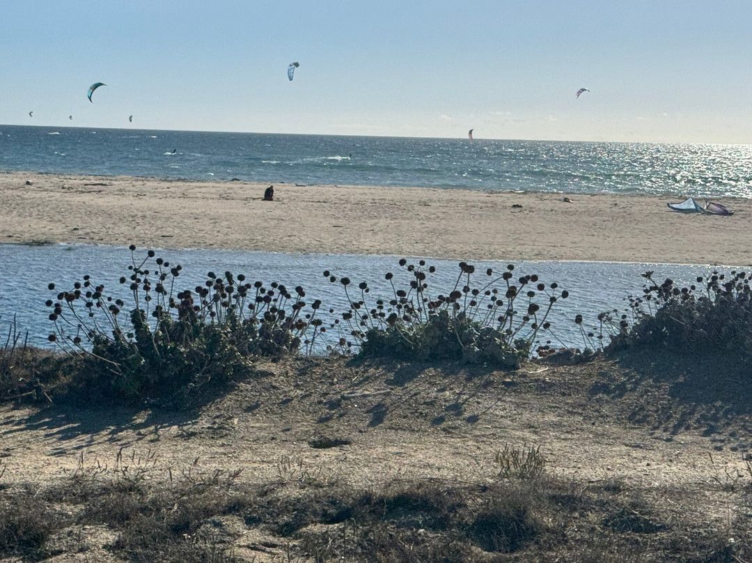 Pigeon Point Light Station-佩斯卡德罗必去景点