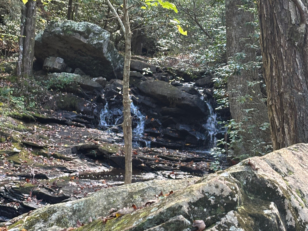 Bigfoot Adventure TN-Tracy City必去景点