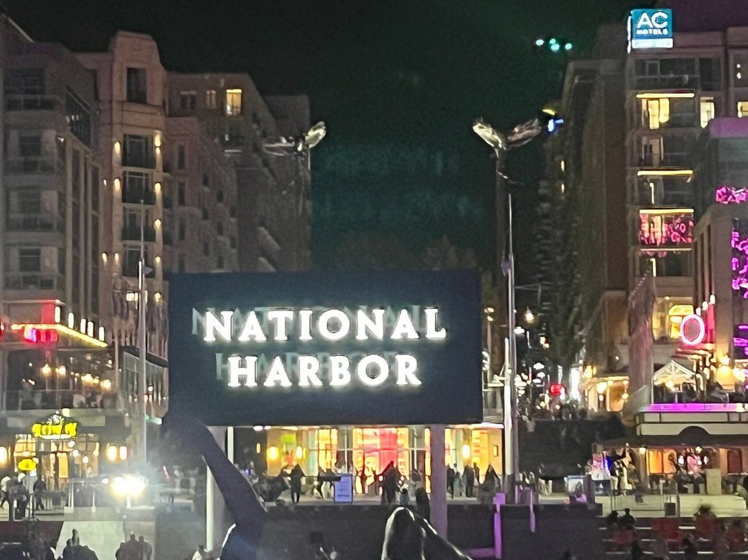 The Westin Washington National Harbor主图