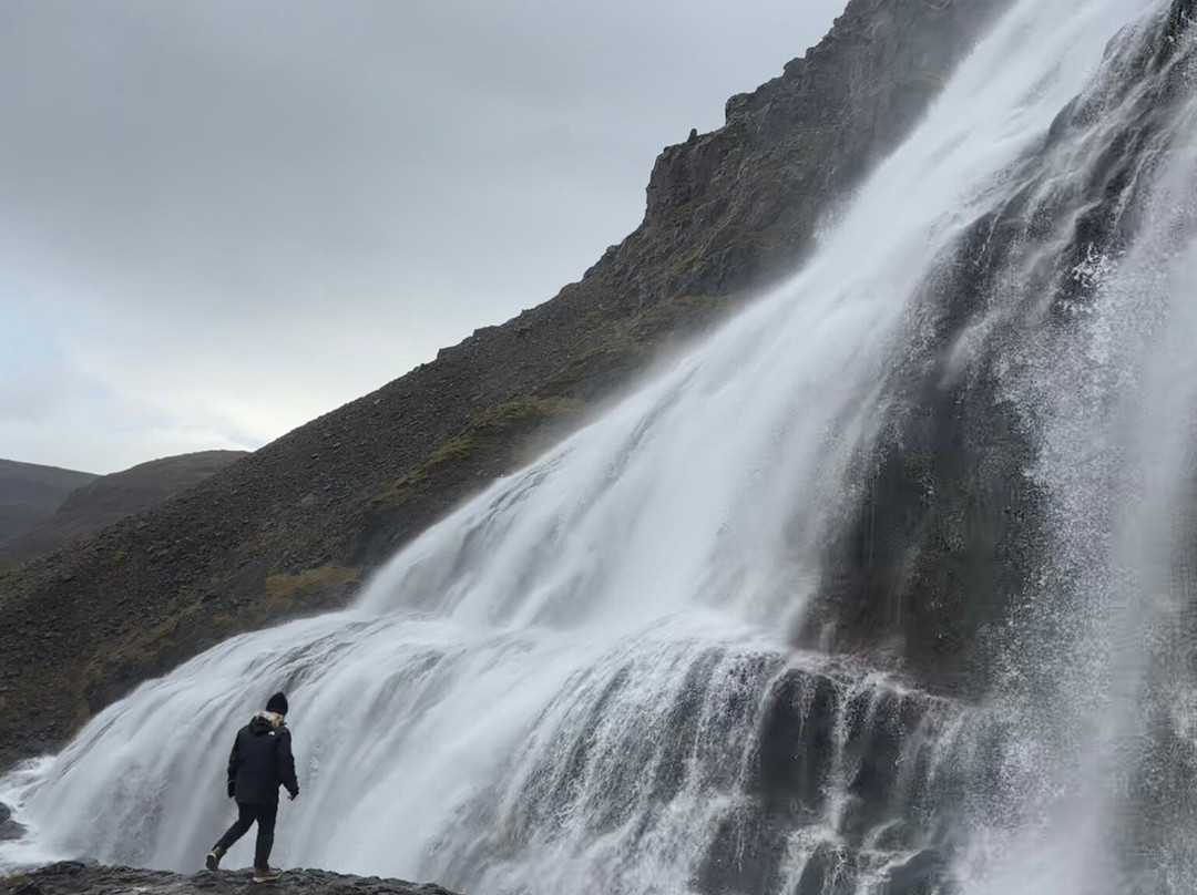 Dynjandi (Fjallfoss)-Hrafnseyri必去景点