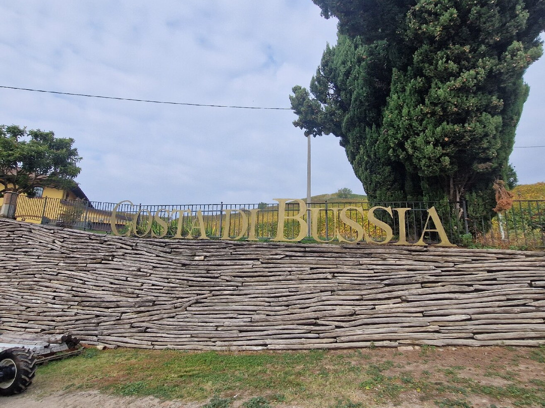 Costa di Bussia - Tenuta Arnulfo-蒙福特-达尔巴必去景点