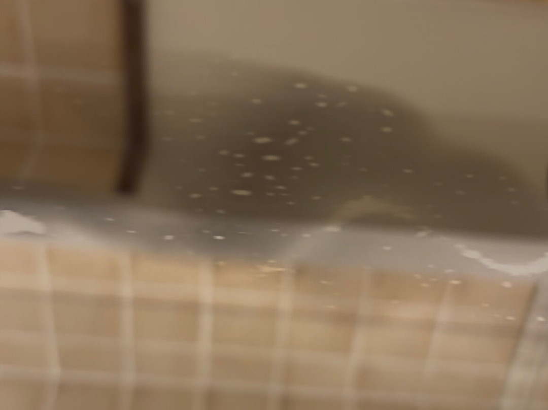 德拉图尔城堡酒店主图