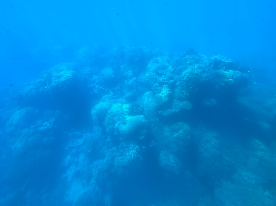 Nautilus Aviation-Garbutt必去景点