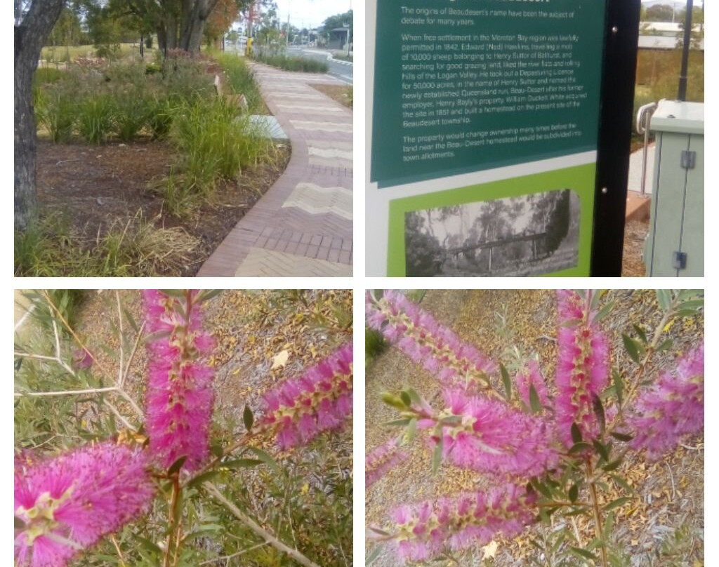 Davidson Park Beaudesert Qld-Beaudesert必去景点