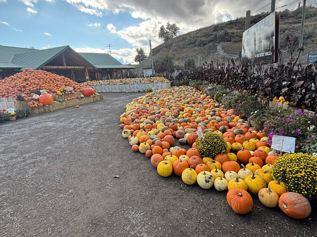 Desert Hills Ranch-Ashcroft必去景点