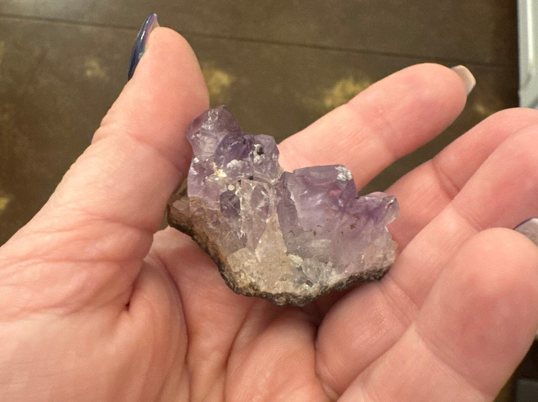 Outpost Gold and Gem-海伦必去景点