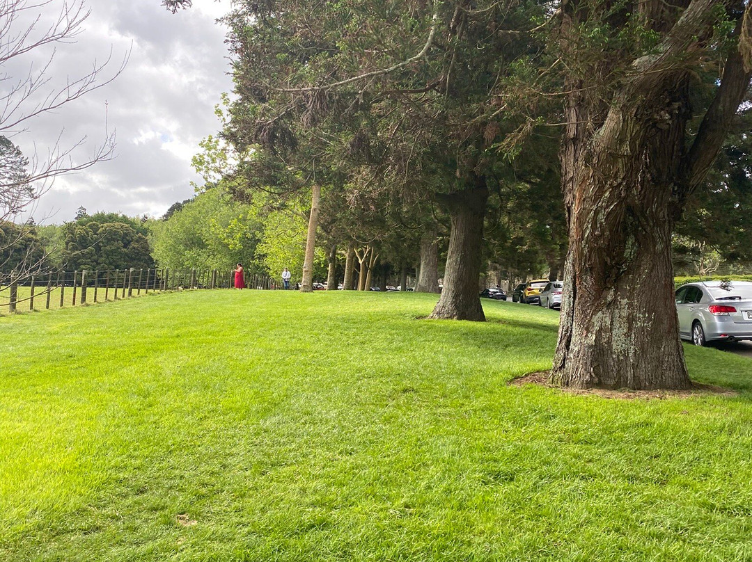 康沃尔公园-奥克兰中心地区必去景点