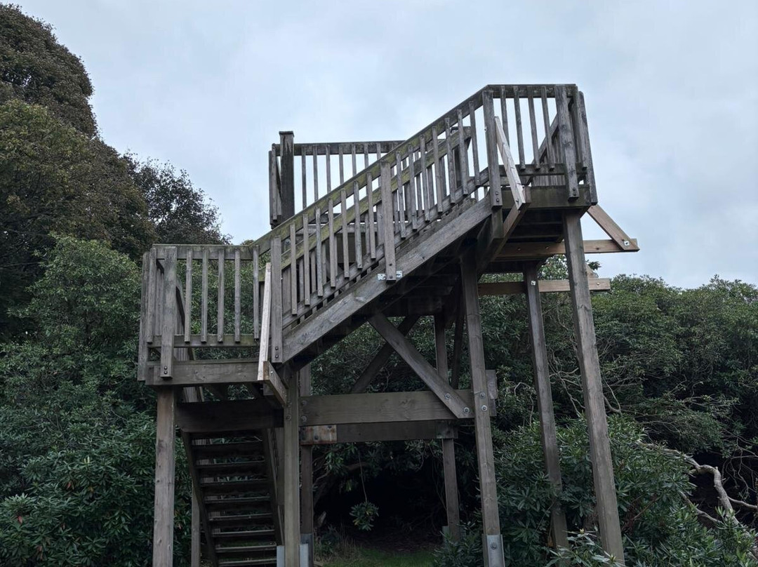 Sheringham Park-Sheringham必去景点
