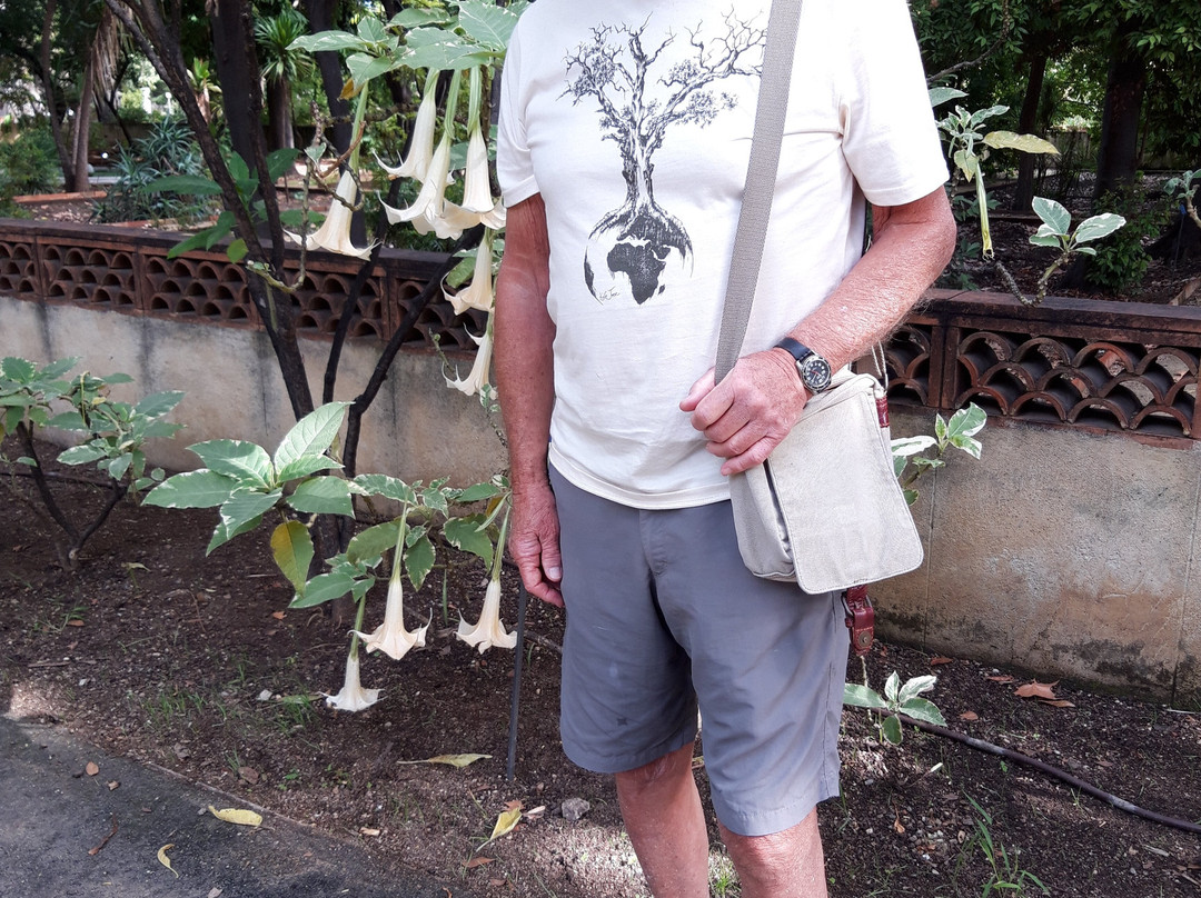 Orto Botanico di Palermo-巴勒莫必去景点