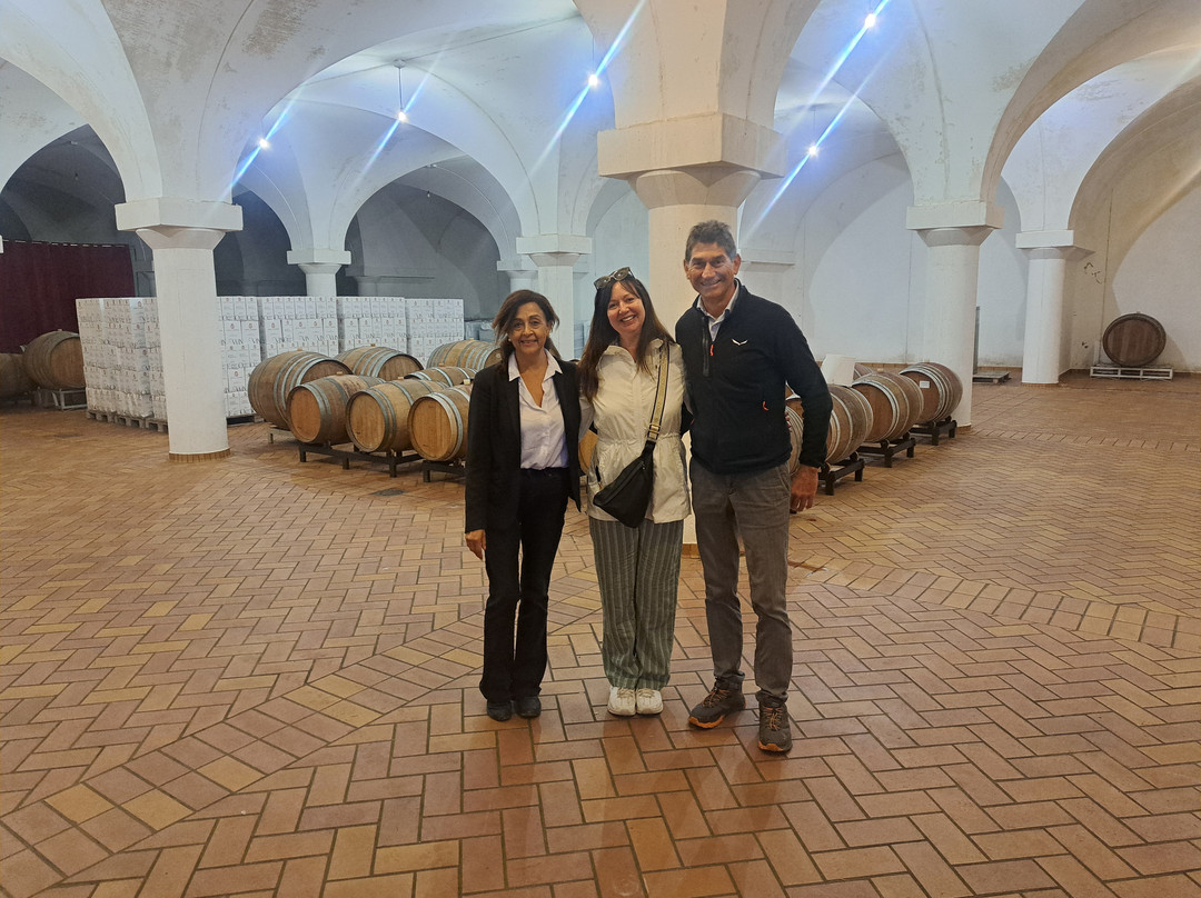 Marco's Way Wine Tours-Ostra必去景点