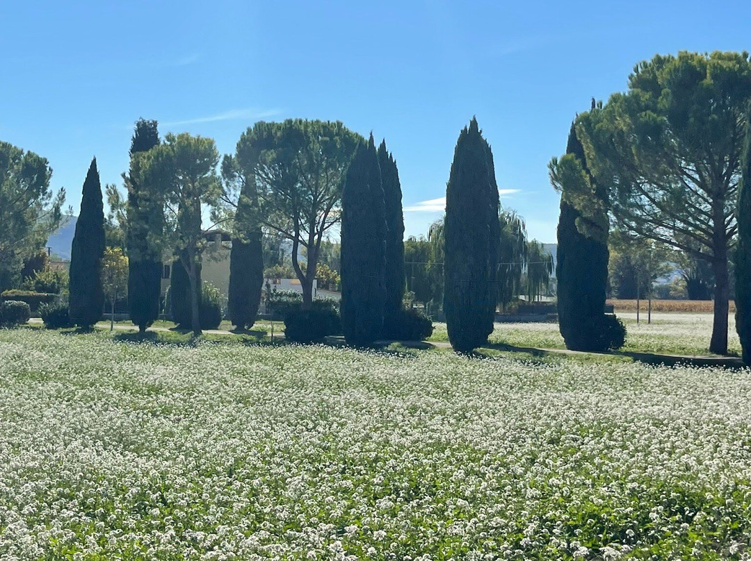 La Vecchia Stalla B&B主图