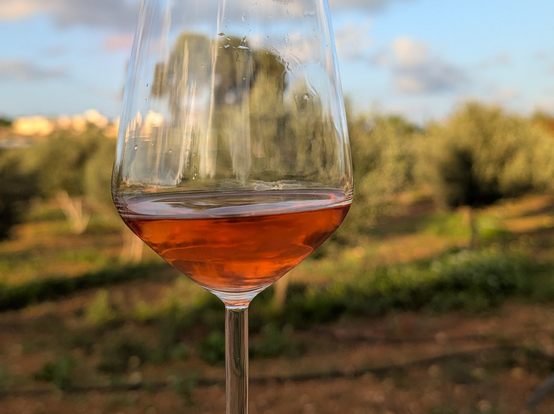 The Mediterranean Culinary Academy-Naxxar必去景点