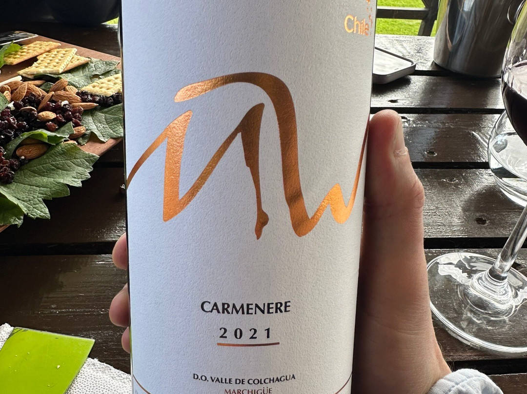 Maturana Wines-San Fernando必去景点