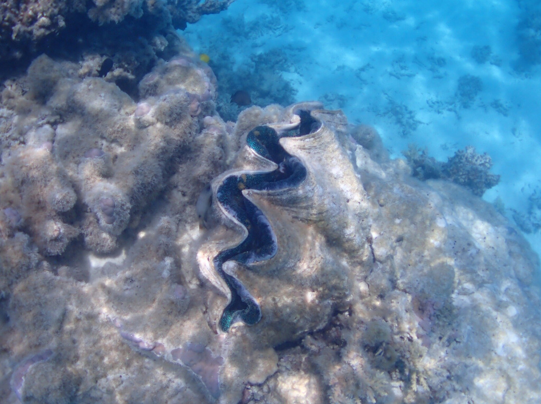 Ru's Lagoon Cruise-艾图塔基必去景点