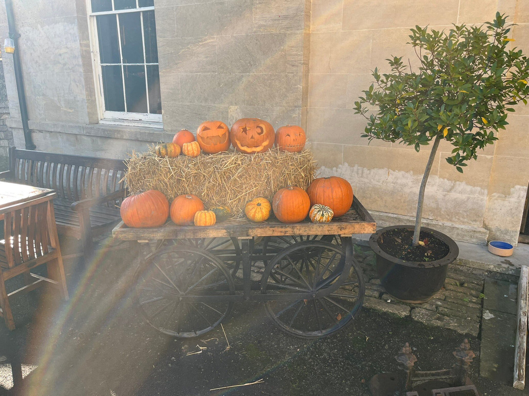 The Forge & Pheasant