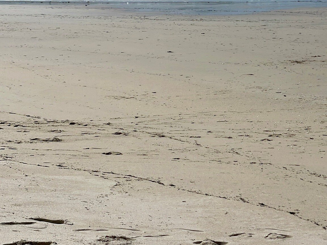 Playa de Carnota-Carnota必去景点