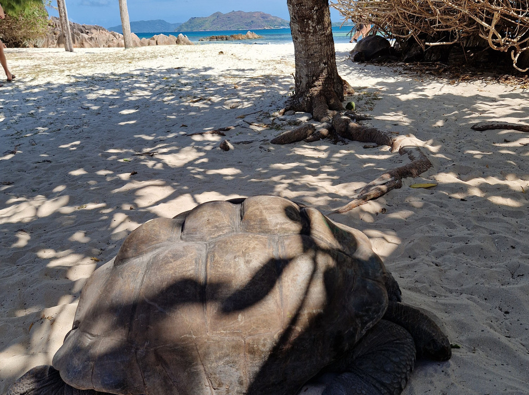 Geoli Charters-Anse la Blague必去景点