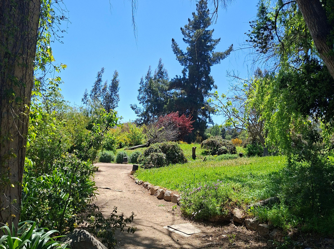 William Cole Vineyards-卡萨布兰卡必去景点