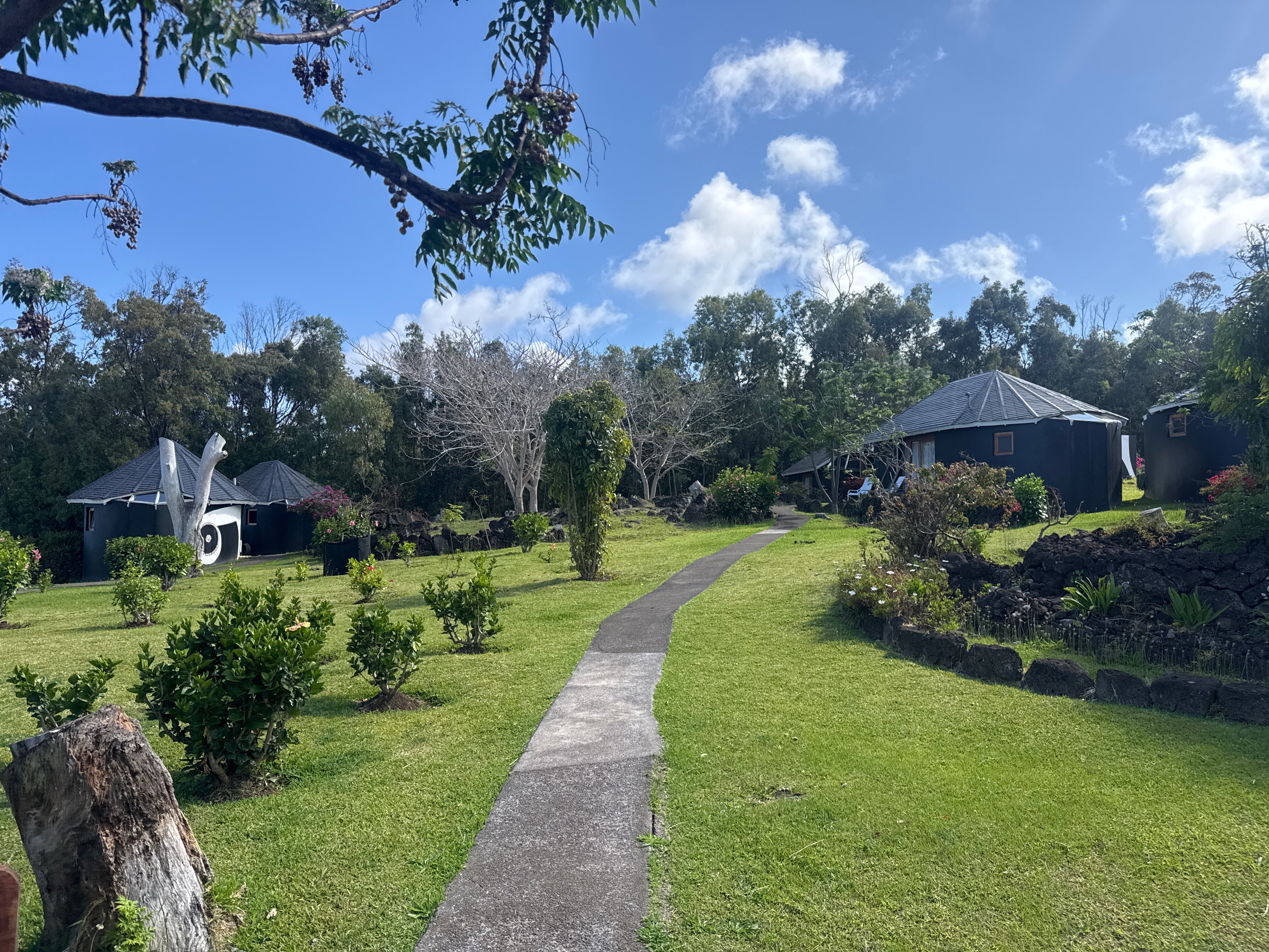 Altiplanico Rapa Nui-官方