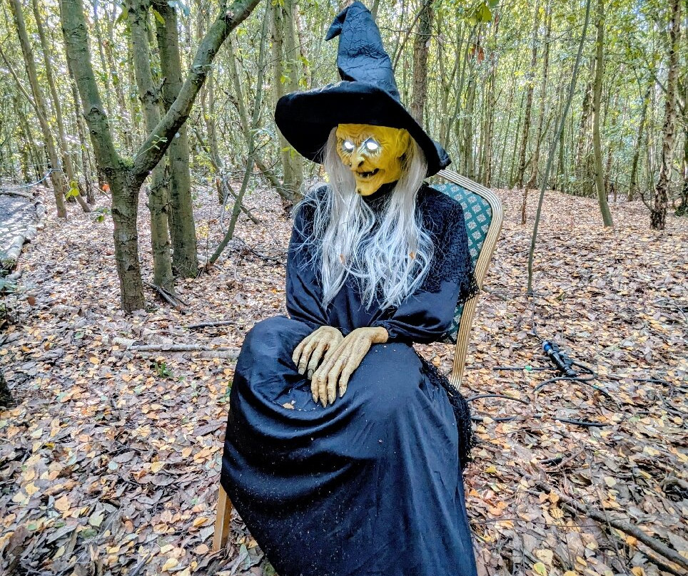 Betteshanger Park-迪奥必去景点