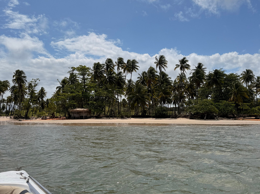 Bahia Terra Turismo E Eventos-萨尔瓦多必去景点