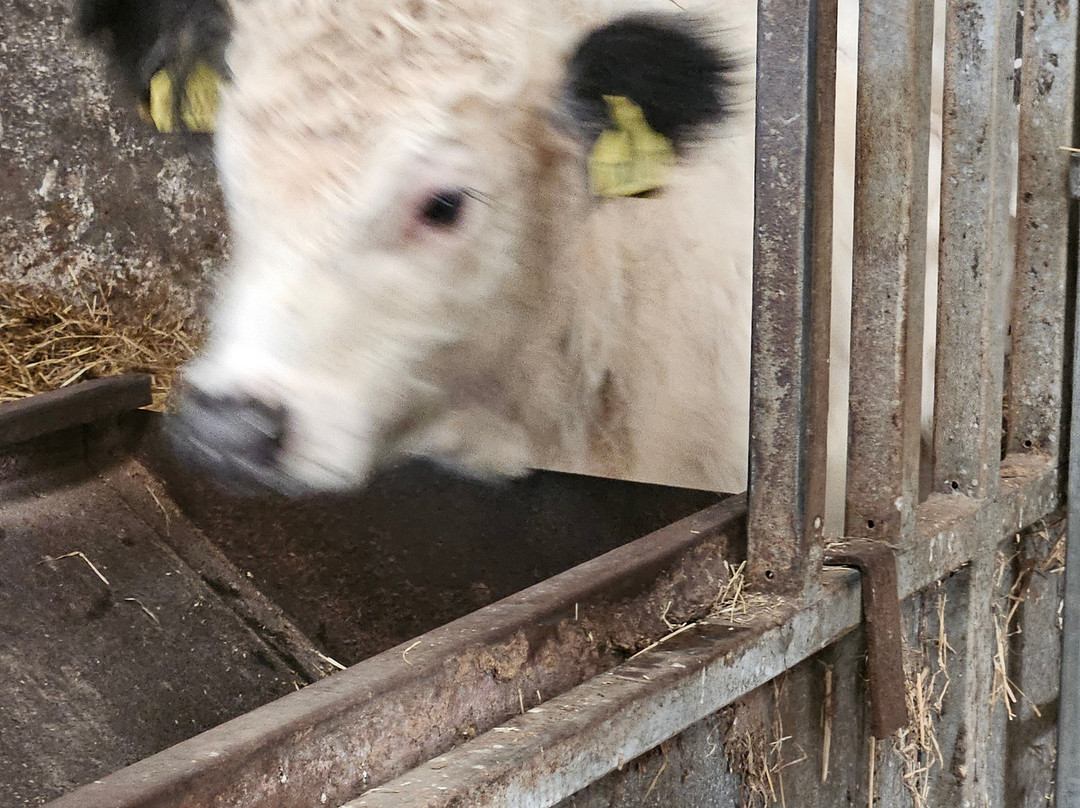 Newton Farm Holidays & Tours主图