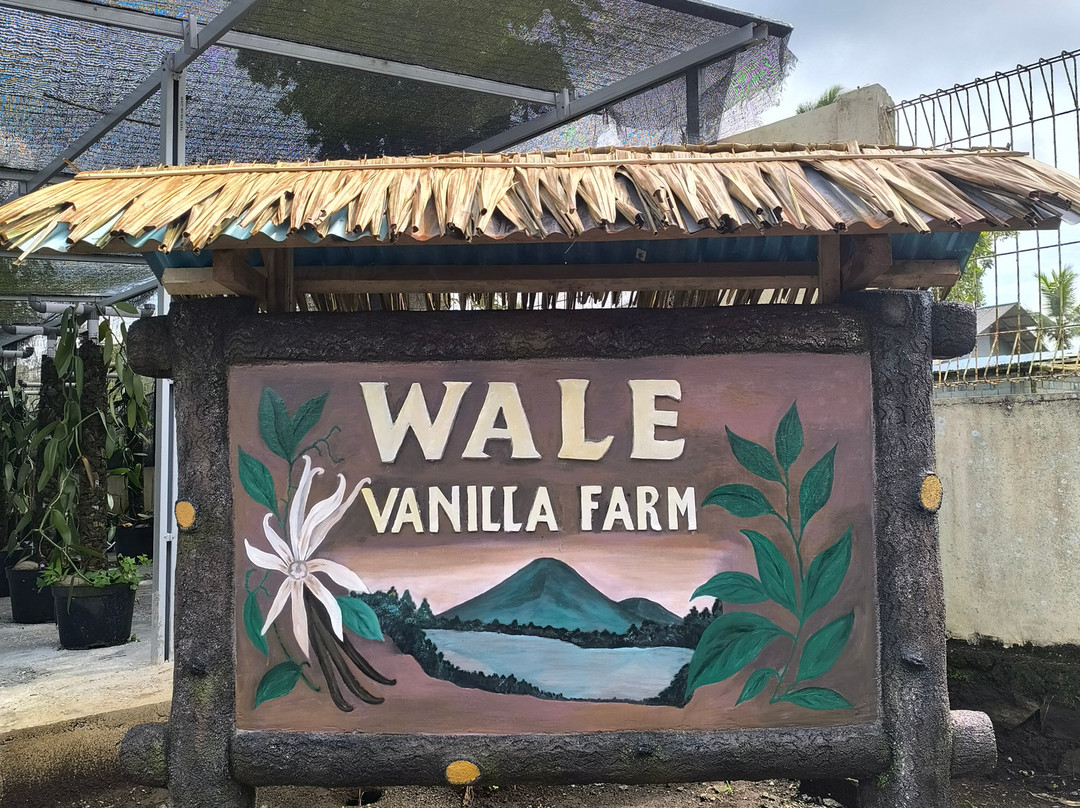 Wale Vanilla-Tomohon必去景点