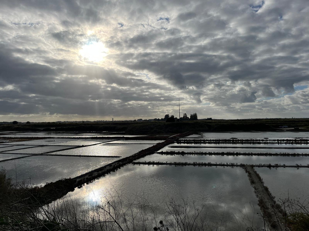 La Maison des Paludiers-Guerande必去景点