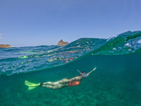 INFO Passeios Noronha-费尔南多-迪诺罗尼亚群岛必去景点