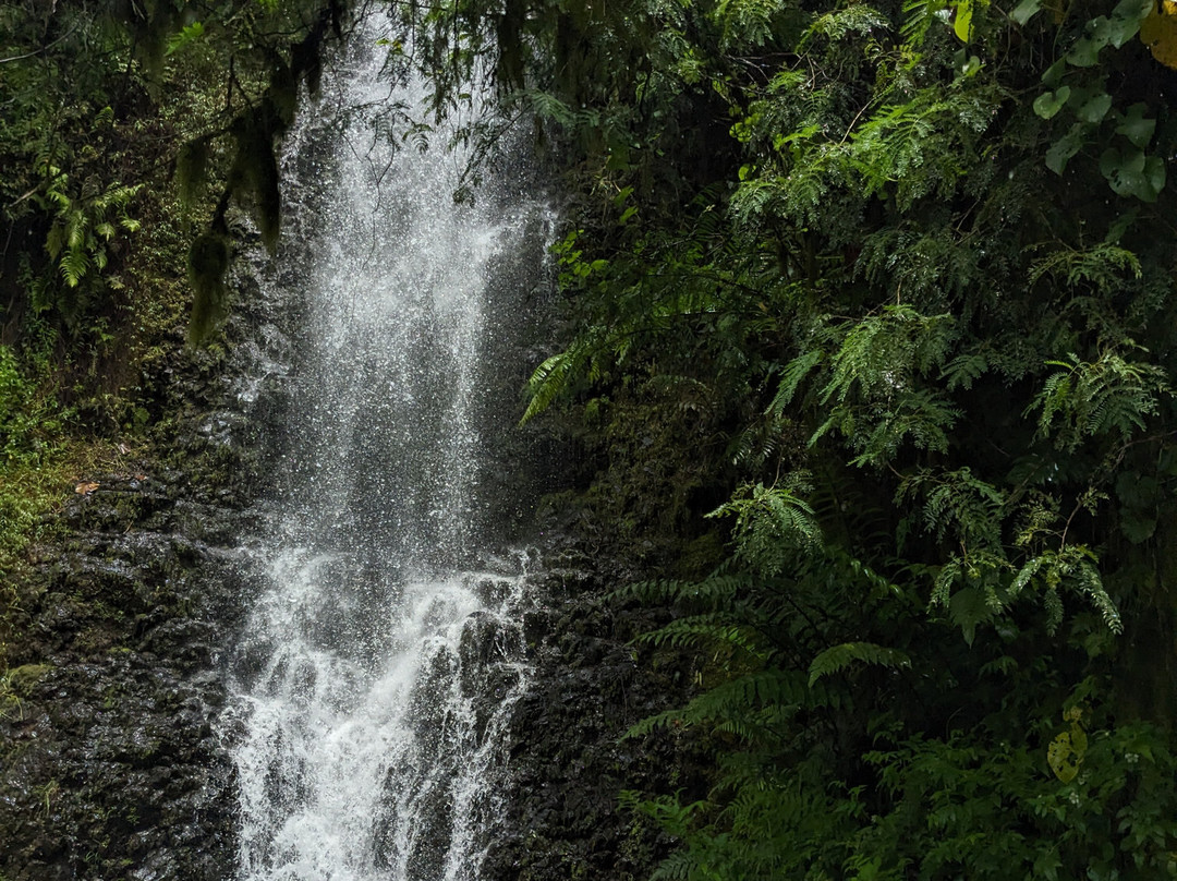 Vallée de la Papenoo-大溪地必去景点