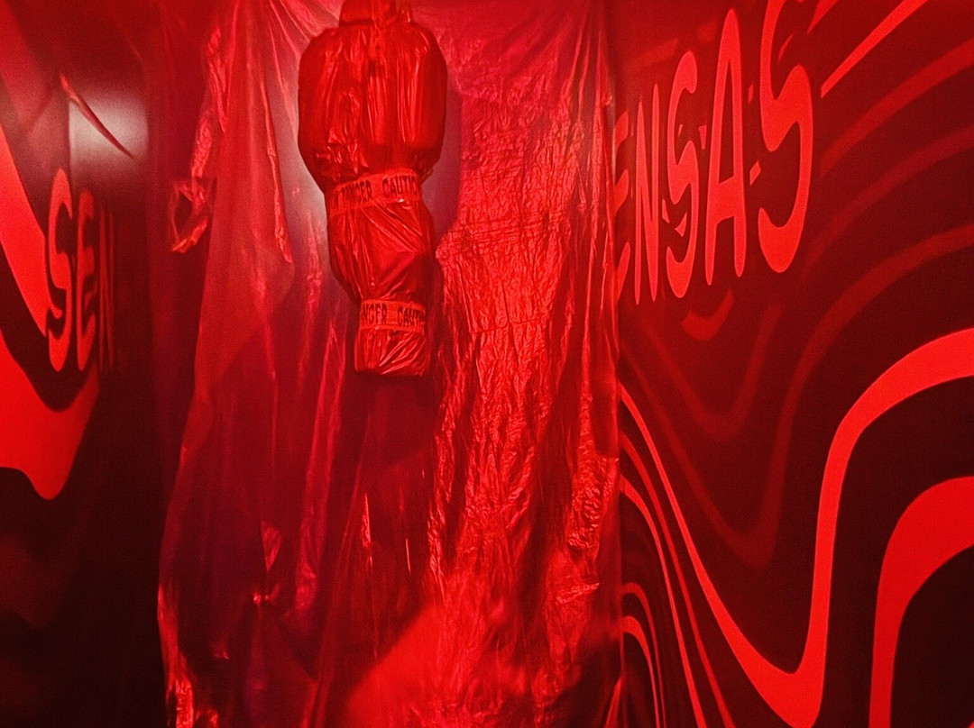 SENSAS Poitiers-普瓦捷必去景点