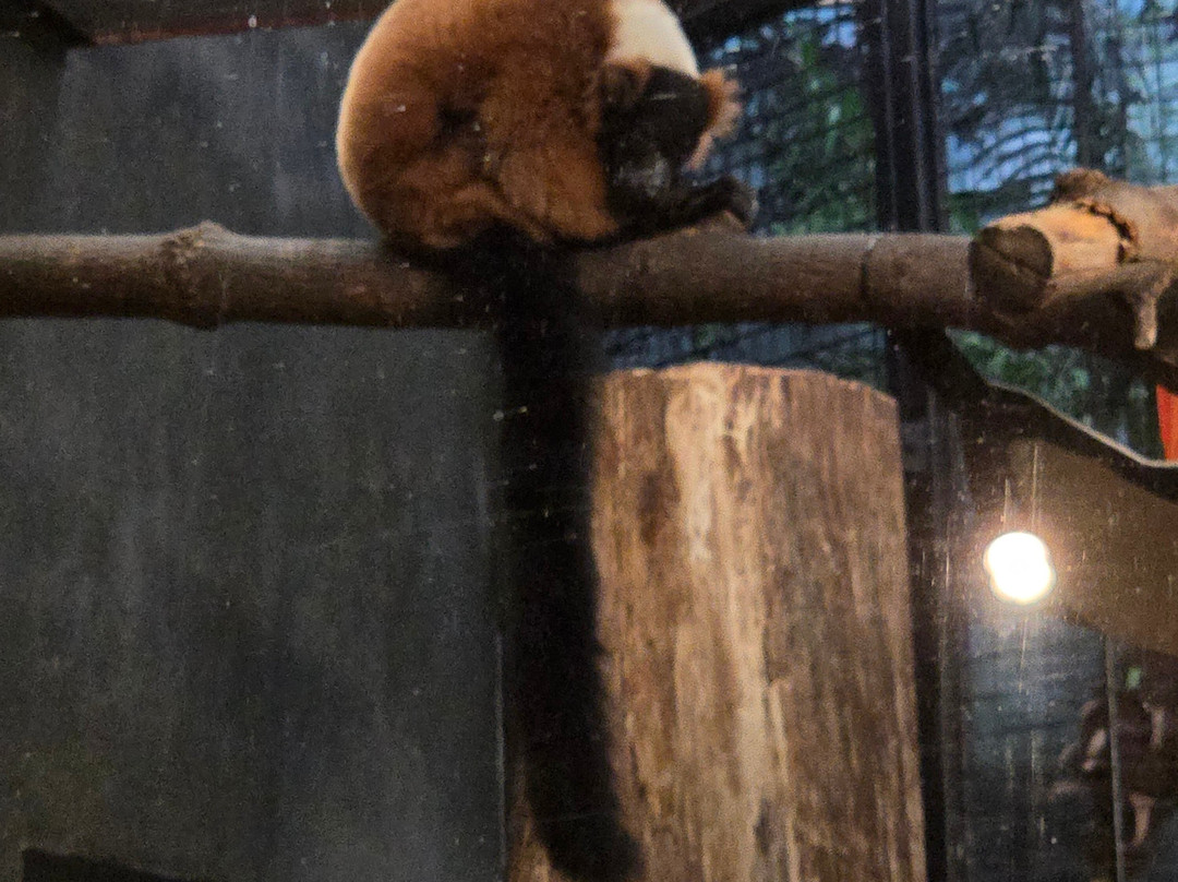 Milwaukee County Zoo-密尔沃基必去景点