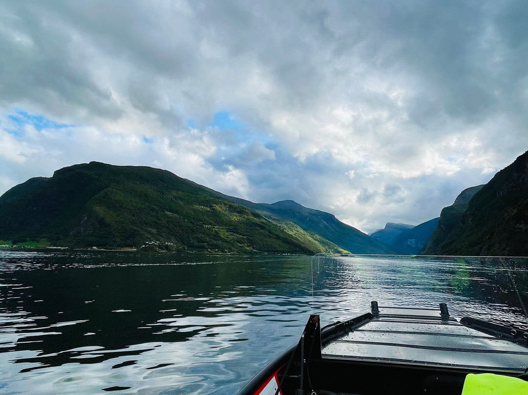 FjordSafari-弗洛姆必去景点