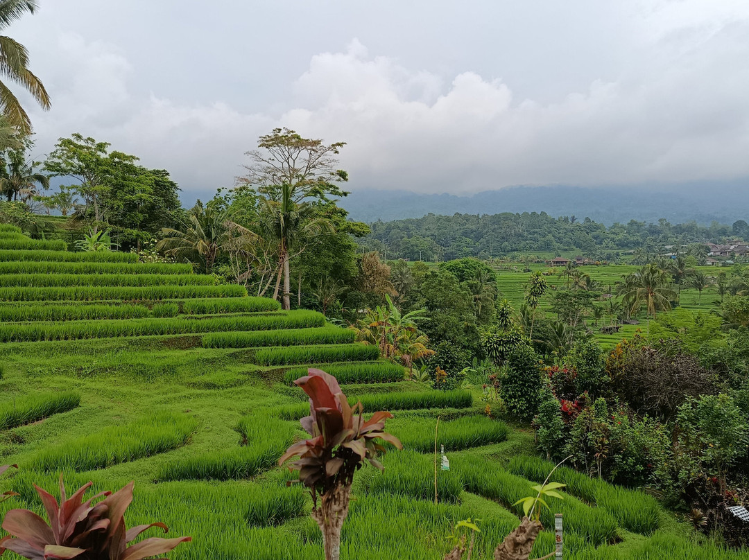 Bali Guia en Espanol-Mas必去景点