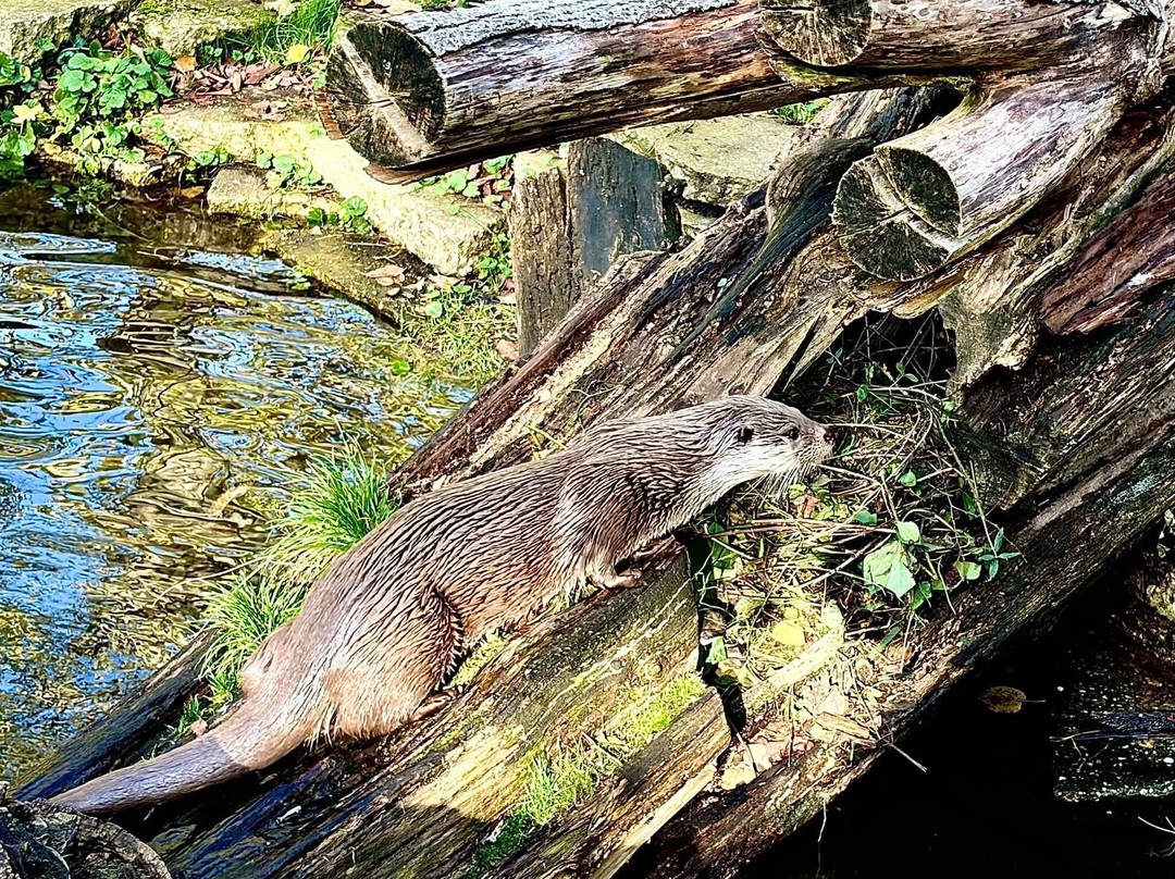 GaiaZOO-科尔克拉德必去景点