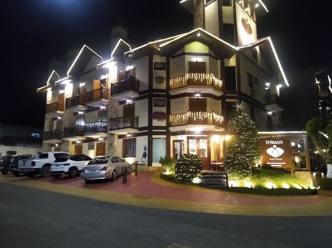 D'Biagy Raízes主图