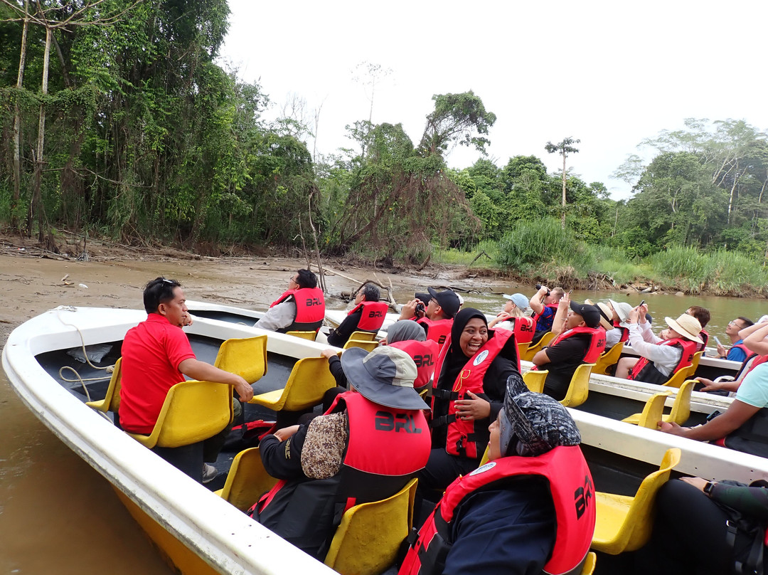 比利特雨林旅舍主图