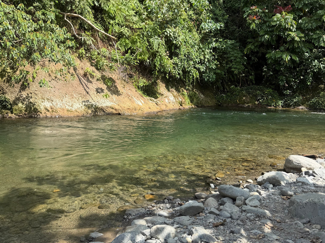 Bukit Lawang Jungle Trekking-武吉拉旺必去景点