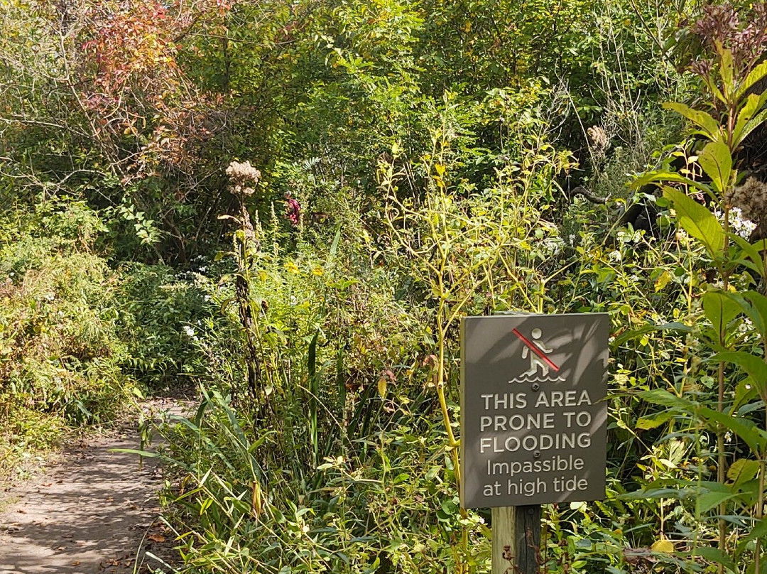 Saugerties Lighthouse-Saugerties必去景点